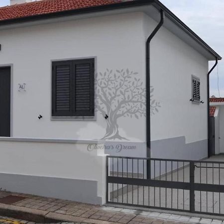 Oliveira'S Dream - Stay Good, Feel Good Maia  Bagian luar foto